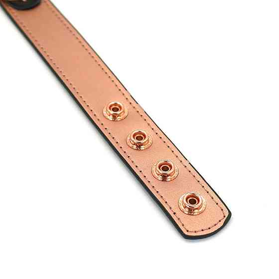 Нашийник із затискачами для сосків Liebe Seele Rose Gold Memory Collar with Nipple Clamps, шкіра Sex Aura Київ