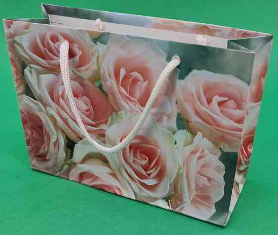 Пакет бумажный малый горизонтальный 11/18/5(арт М027) (12 шт) Харьков