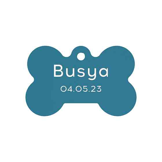 Адресник для собаки Blue 30x20мм Київ