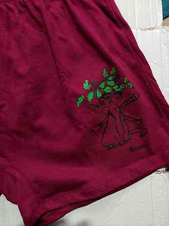 Чоловічі труси сімейні з бавовни Lans 01/021 L, Червоний Киев