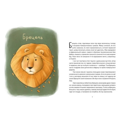 Книга Єнот Ракета та інші герої - Євгенія Завалій Видавництво Старого Лева (9789664481868) Вінниця - фото 2