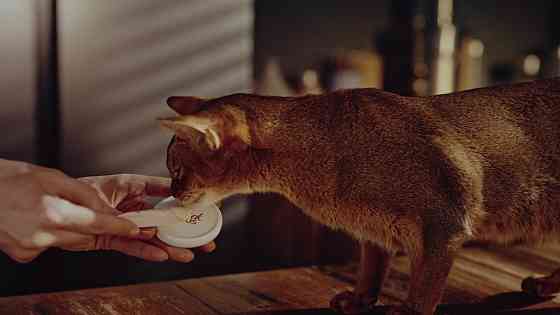 Крем-снеки для котів Делікшес Delickcious курка з додаванням ананасу ласощі для котів (4 шт х 15 г) Вінниця