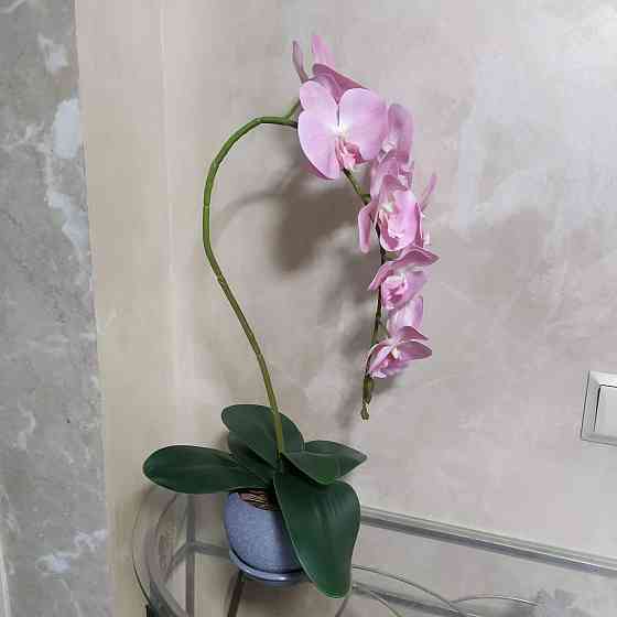 Штучна латексна орхідея VIP у сірому керамічному кашпо на одну рожеву гілку Дніпро