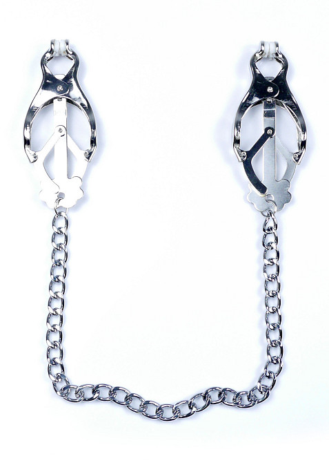 Зажимы для сосков StymulatorExclusive Nipple Clamps No.11 Fetish Boss Series Sex Aura Киев - изображение 1