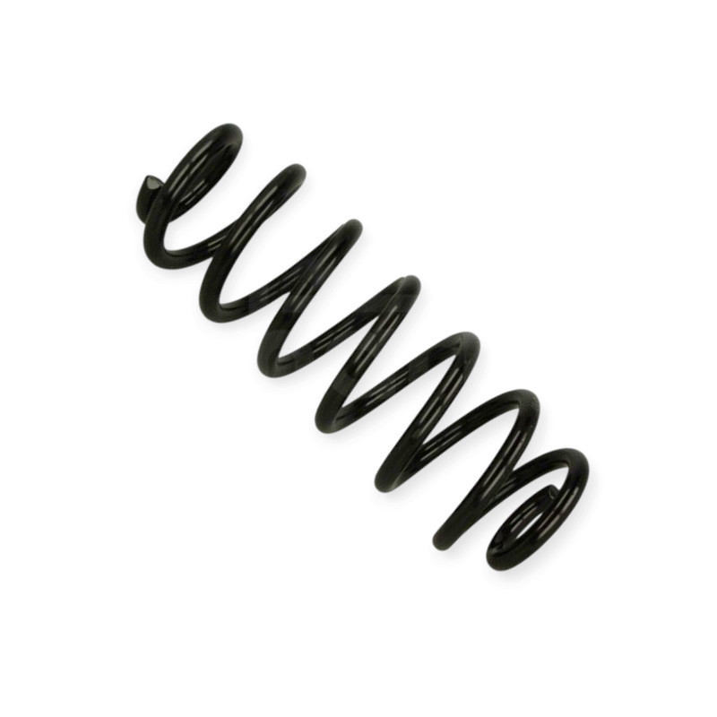 Пружина Seat Altea XL 06- задняя Мукачево - изображение 1