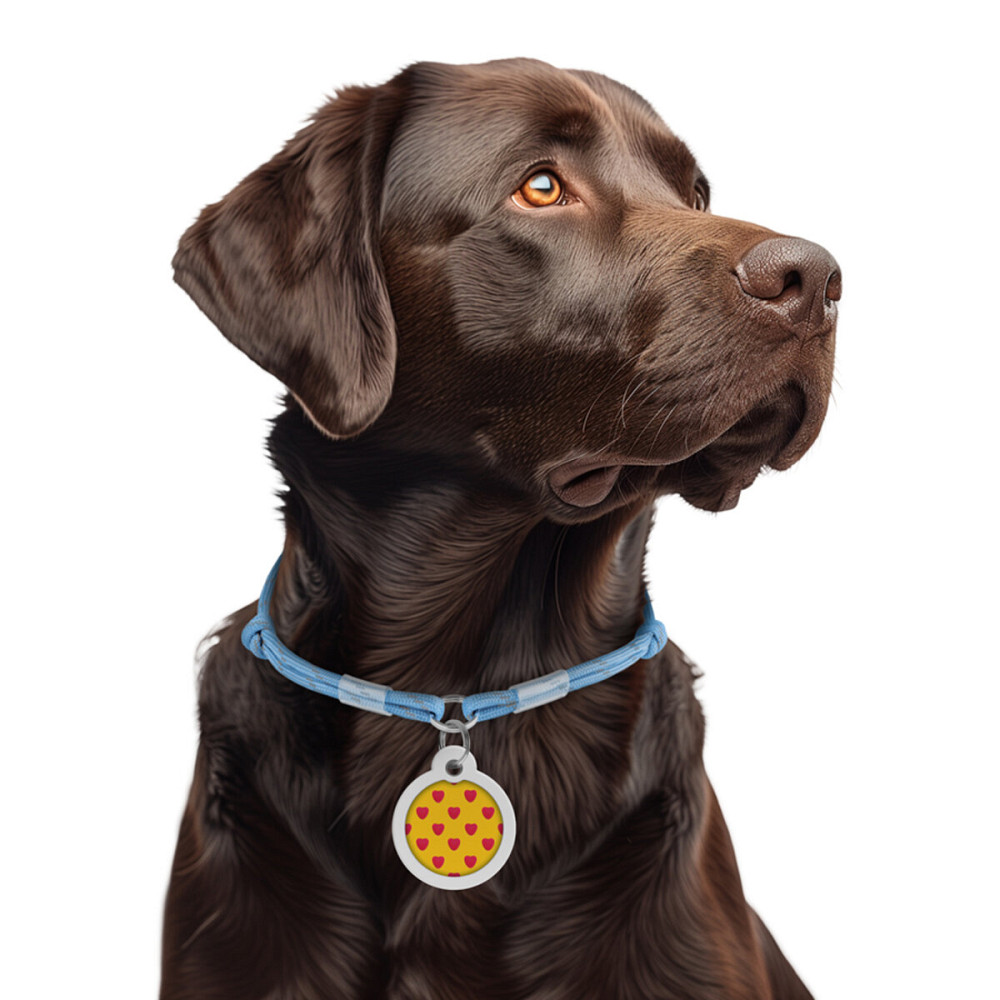 Шнурок для адресника з паракорду WAUDOG Smart ID, світиться у темряві, світловідбивний, розмір М, діаметр 4 мм, довжина 42-76 см блакитний Київ - фото 2