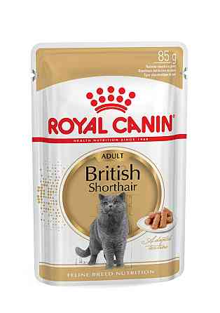 Вологий корм для дорослих котів ROYAL CANIN BRITISH SHORTHAIR ADULT 0.085 кг Київ