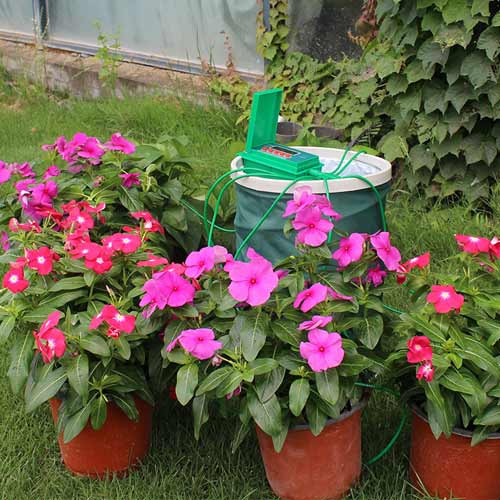 Система капельного полива комнатных растений с таймером Aqualin YL22018 автоматическая с насосом Киев - изображение 1