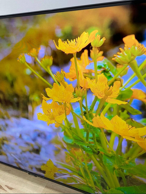 Телевізор: Samsung 50" Дюймів, QLED. Харків - фото 4