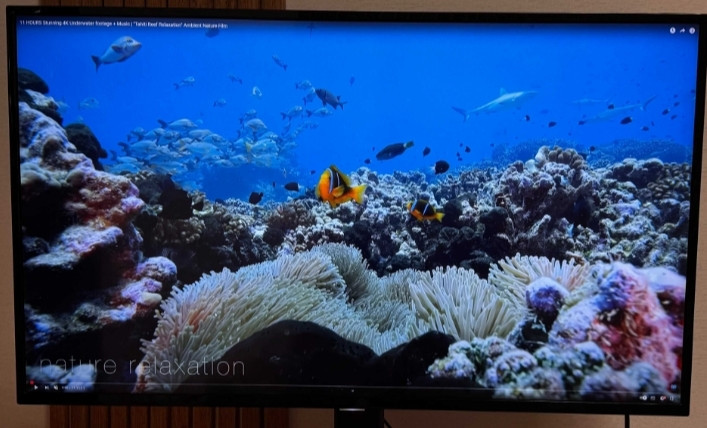 Mонитор Philips BDM4350UС Киев - изображение 4