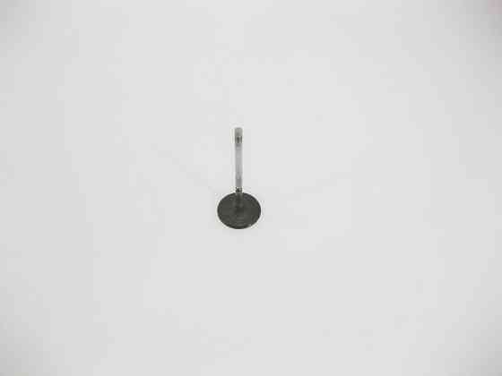 Mercedes-Benz  A2720530501 Клапан впускний двигунів M272 V6 3.5л M273 V8 4.6л Одесса