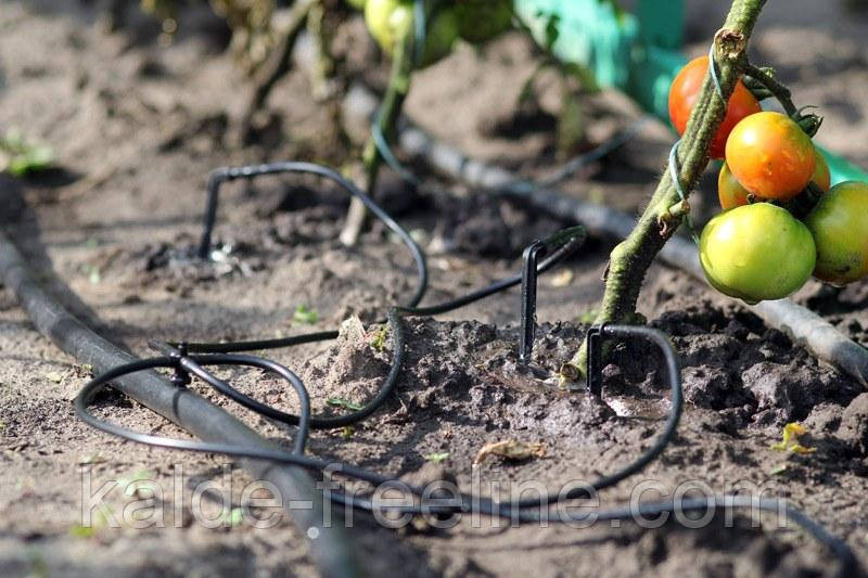 Набір Presto-PS з 4 крапельниць 