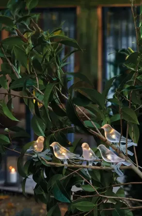 Садовая солнечная гирлянда на солнечной батарее в форме птиц 5шт 2+1,2 м Garden Line SOL6063 Коломия