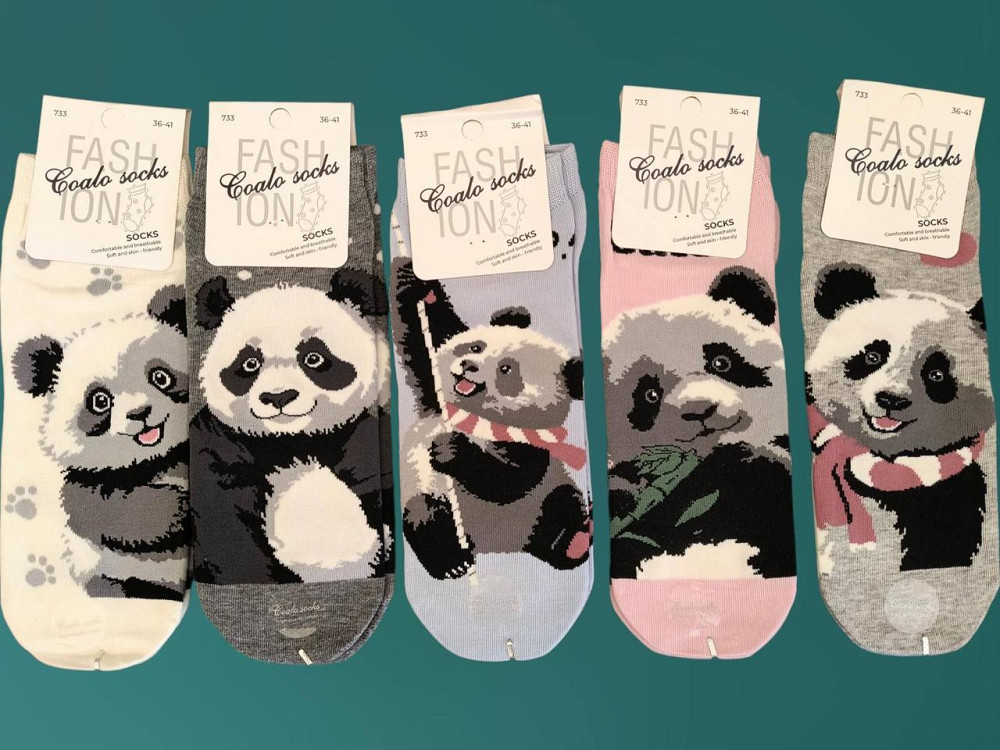 Шкарпетки жіночі з пандами. У наборі по 5 шт. Coalo socks. Розмір 36-41 Київ - фото 1