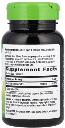 Вітамін В3 ніацинамід 500 мг Nature's Way Niacinamide 100 капс Київ