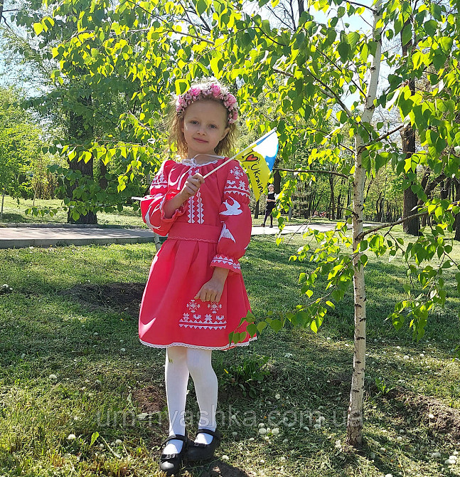 Плаття вишиванка рожеве з ластівками 104-158 Кривий Ріг - фото 2