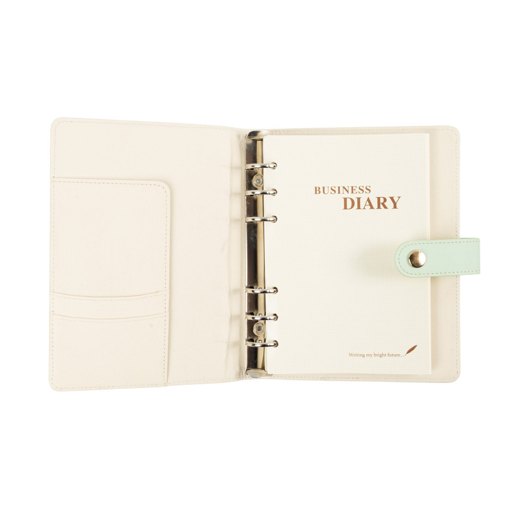 Планер, щоденник, блокнот на кільцях А6 Кам'янець-Подільський - фото 5