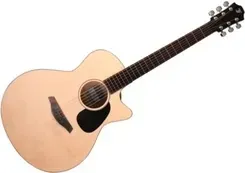 Гитара Furch Master's Choice Violet Gc-EM L.R. Baggs SPE – gitara elektroakustyczna Київ - фото 1