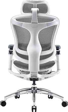Крісло офісне Sihoo Doro C300 Pro Mesh White (DORO-C300-PRO-M102) ( 11715 ) Харків