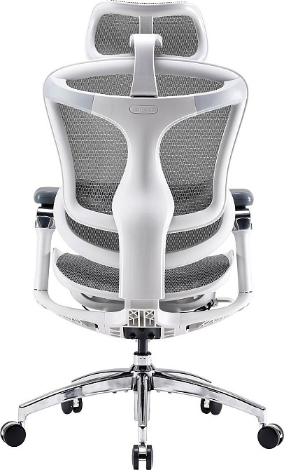 Крісло офісне Sihoo Doro C300 Pro Mesh White (DORO-C300-PRO-M102) ( 11715 ) Харків - фото 2