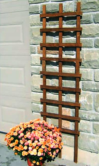 Опора-тин "Тенга" капучино Миколаїв - фото 1