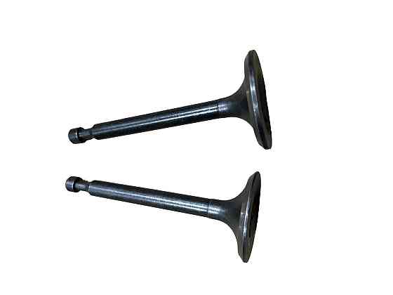 Клапаны (пара) мотоблок 168F/170F (6,5/7Hp) (D-25/H-64, D-27/H-62) Мукачево