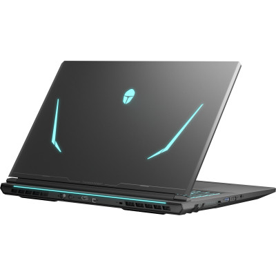 Ноутбук Thunderobot 911 X17 (911X17-i7136H56C1Q165MB) Вінниця - фото 4