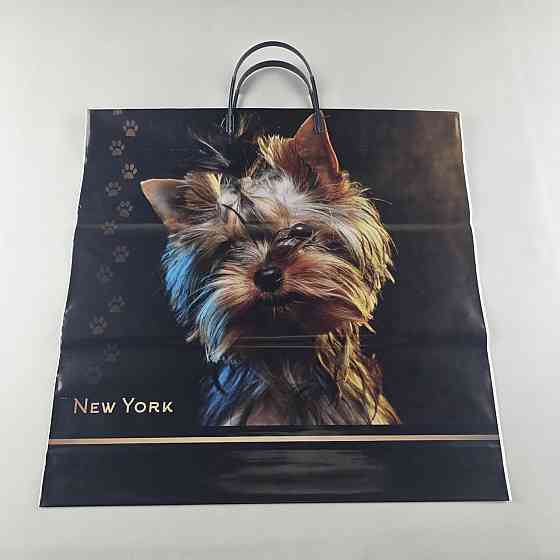 Полиэтиленовый пакет (40х40) с пластиковой ручкой