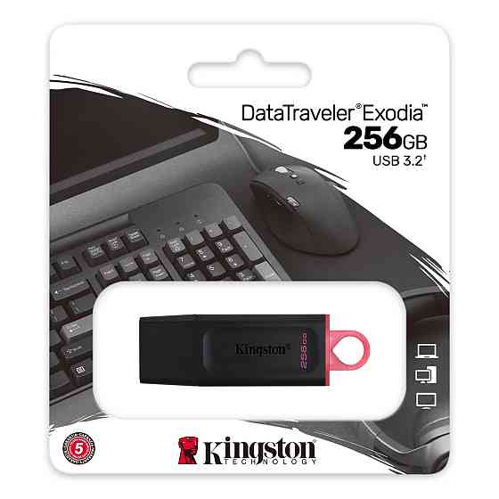 Flash Kingston USB 3.2 DT Exodia 256GB Black/Pink Київ