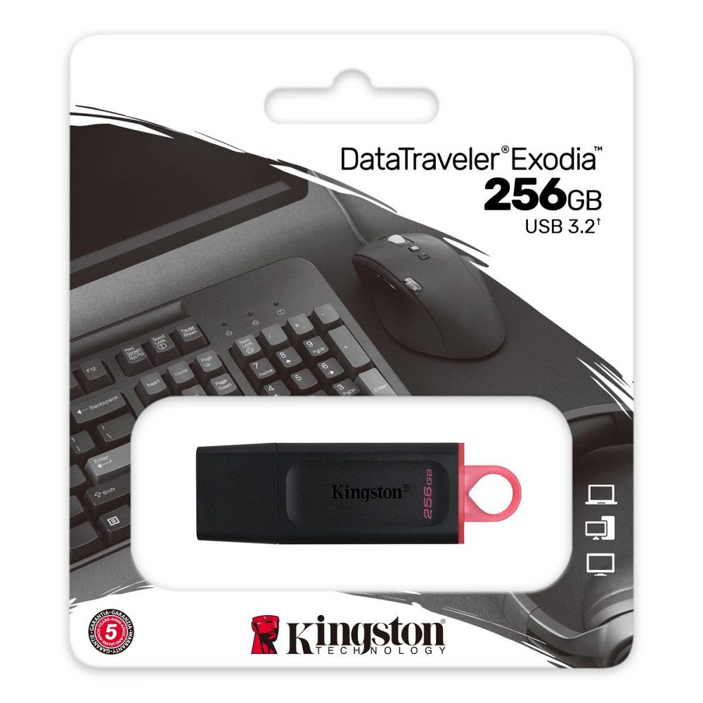 Flash Kingston USB 3.2 DT Exodia 256GB Black/Pink Киев - изображение 1