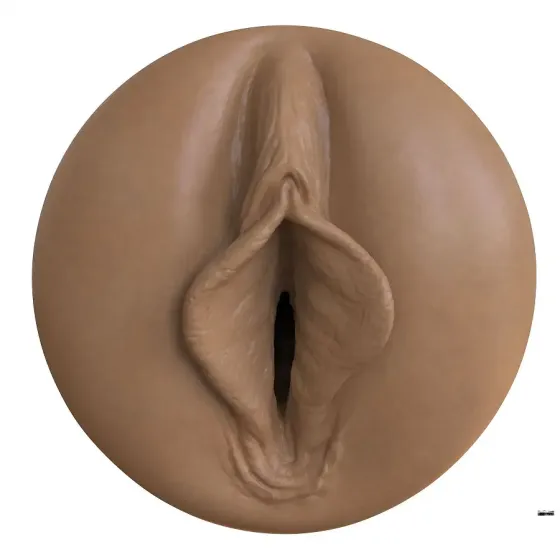 Мастурбатор-вагіна Fleshlight Boost Bang Medium Dark Flesh, плаваючі кільця Turbo Tech Львов