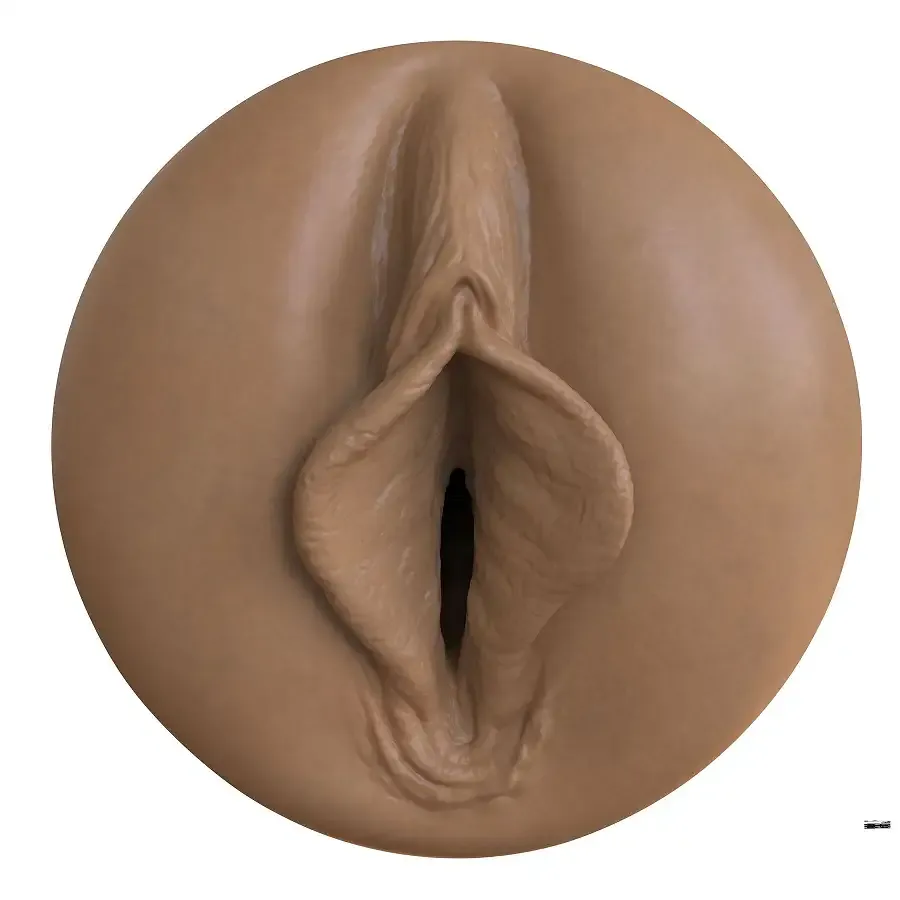 Мастурбатор-вагіна Fleshlight Boost Bang Medium Dark Flesh, плаваючі кільця Turbo Tech Львов - изображение 2