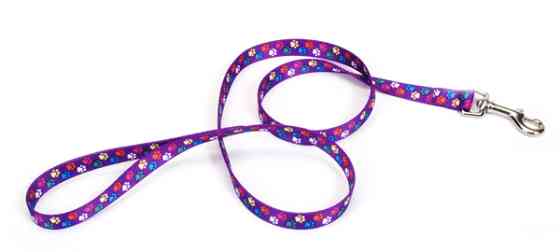 Coastal Pet Attire Styles КОСТАЛ СТАЙЛС повідець для собак, 2смХ1.8м Київ