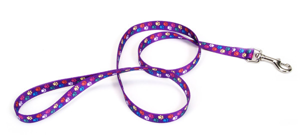 Coastal Pet Attire Styles КОСТАЛ СТАЙЛС повідець для собак, 2смХ1.8м Київ - фото 1