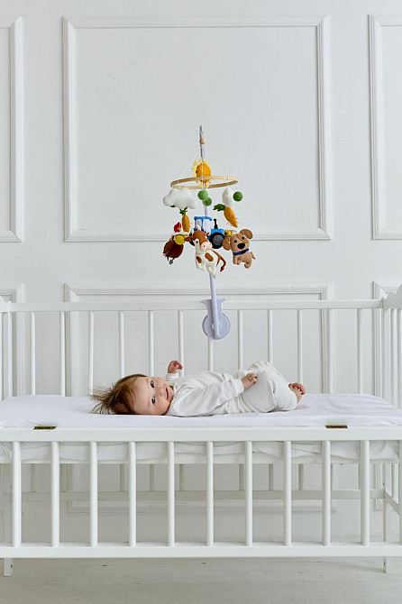 Дитячий мобіль на ліжечко для немовлят WoollyFox "Собака, коза, машинка, індик" Київ - фото 5