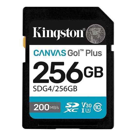 Карта пам'яті SDXC (UHS-1 U3) Kingston Canvas Go! Plus 256Gb class 10 A2 V30 (R200MB/s, W160MB/s) Київ