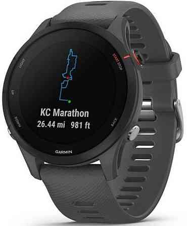 Смарт -Часы GARMIN Forerunner 255 Slate Grey. Киев