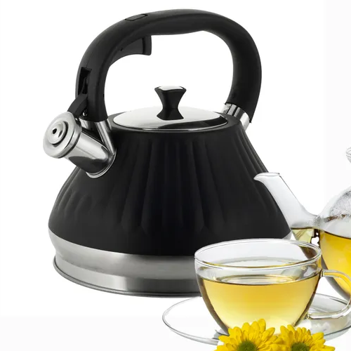 Чайник 3л нержавіюча сталь зі свистком з ручкою 