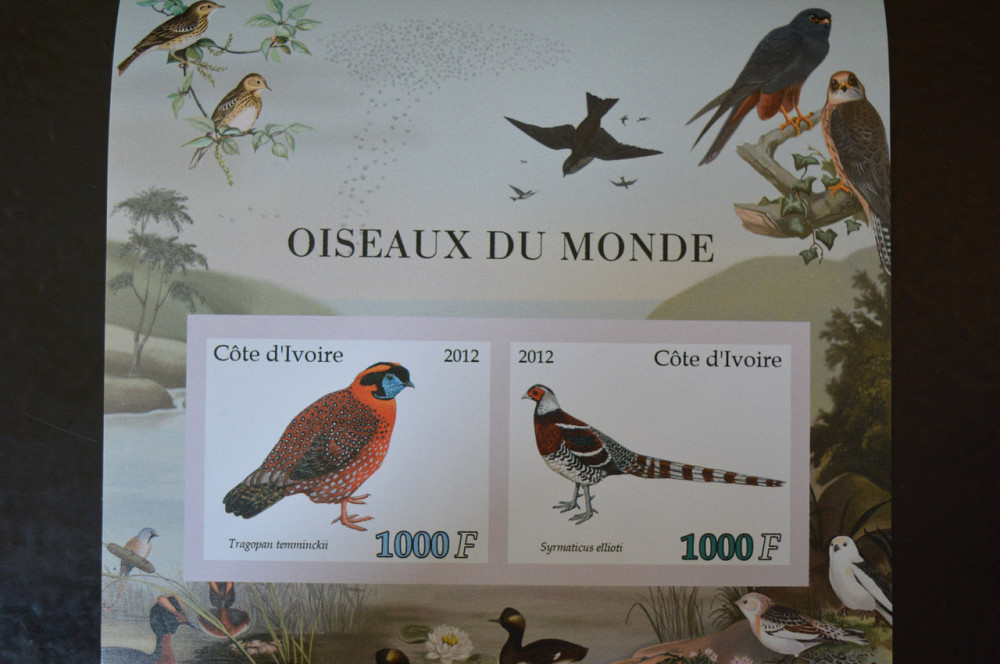 Марки. Фауна. Блок. 2012 рік (А-32) Полтава - фото 1