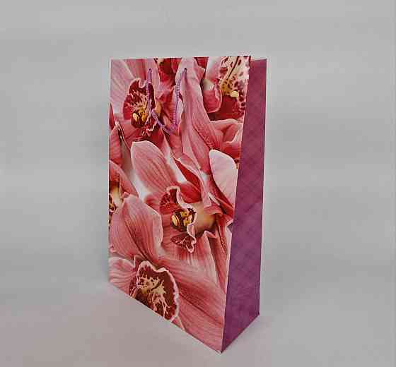 Пакет паперовий гігант вертикальний (30х42х12) (артGV-094) (12 шт) Харків