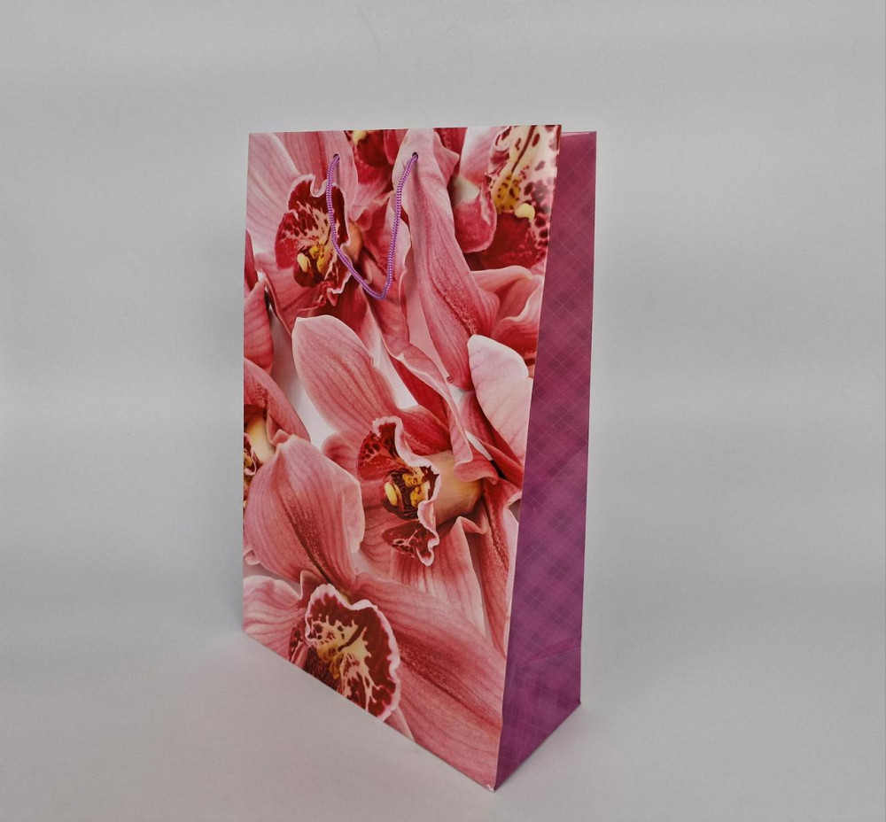 Пакет бумажный гигант вертиркальный (30х42х12)(артGV-094) (12 шт) Харьков - изображение 2