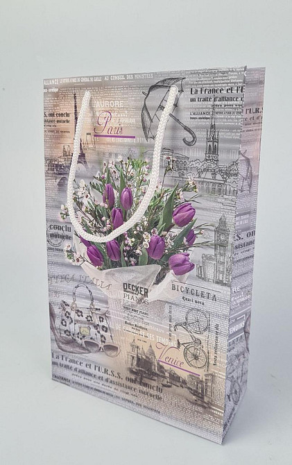 Паперовий пакет подарунковий Середній 17/26/8 (артSV-144) (12 шт.) Харків - фото 1