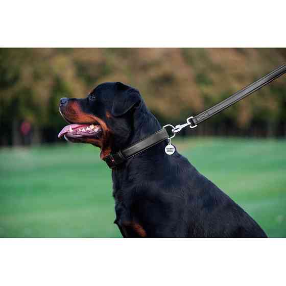 Повідець для собак шкіряний WAUDOG Glamour, Ш 25 мм, Дов 122 см чорний Коломия