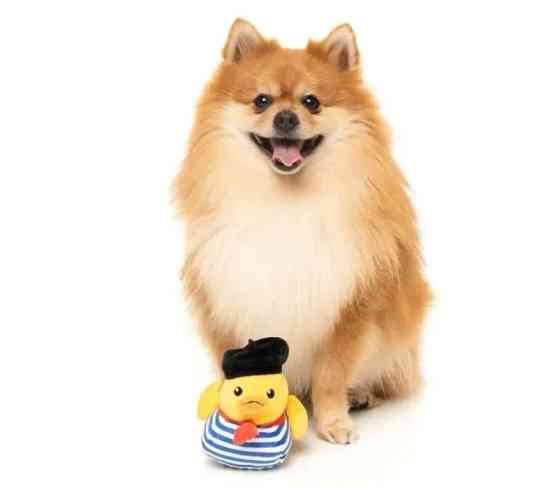 М'яка іграшка для собак FuzzYard Качечка Тімоті Чалаквак L Луцк