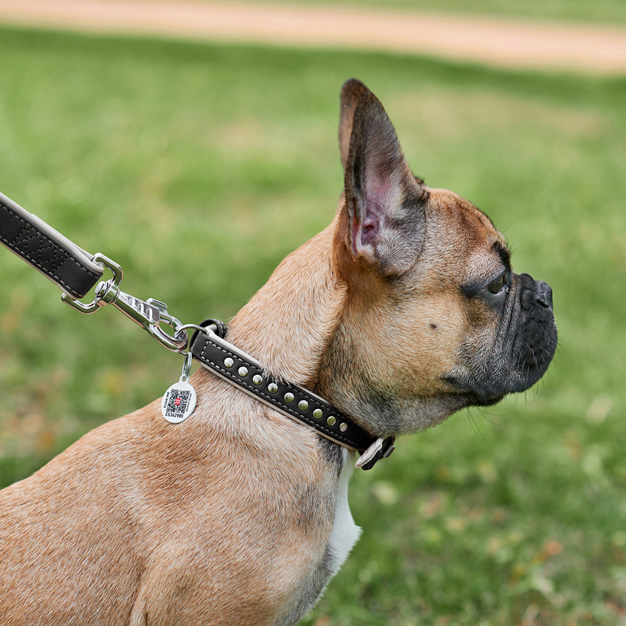 Нашийник для собак шкіряний WAUDOG Soft з QR паспортом, металічні прикраси, Ш 15 мм, Дов 27-36 Коломыя - изображение 6