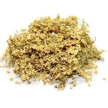 Бузина черная (цвет), 1кг. MasterSEM Киев - изображение 1