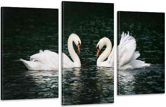 Модульная картина Лебеди Art-182_3 Киев