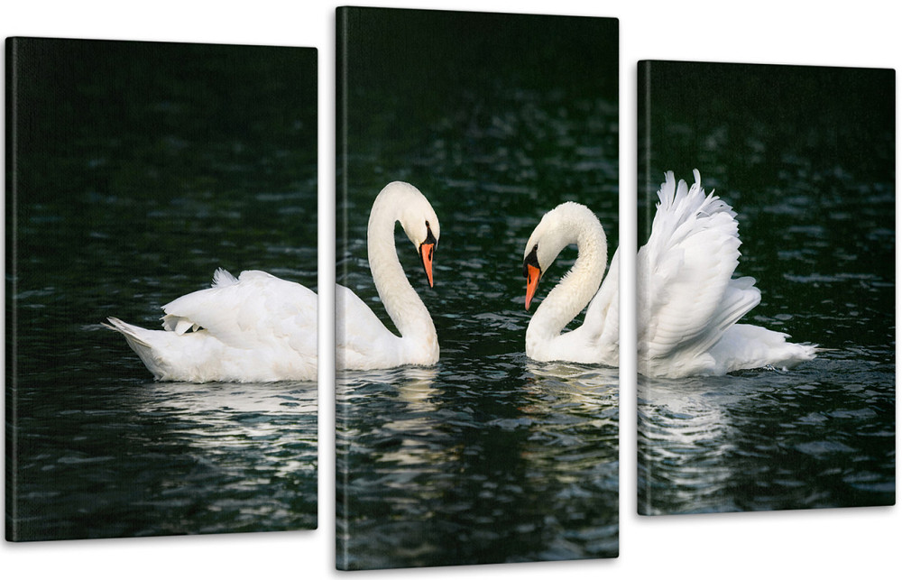 Модульная картина Лебеди Art-182_3 Киев - изображение 1