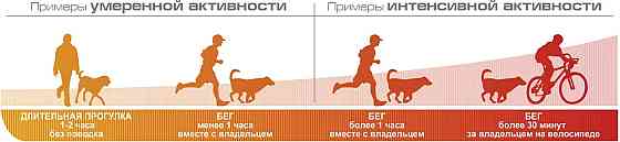 Royal Canin Energy (Роял Канін Енерджі) ласощі для активних собак під час тренувань 0.05 кг. х 12 шт. Запоріжжя