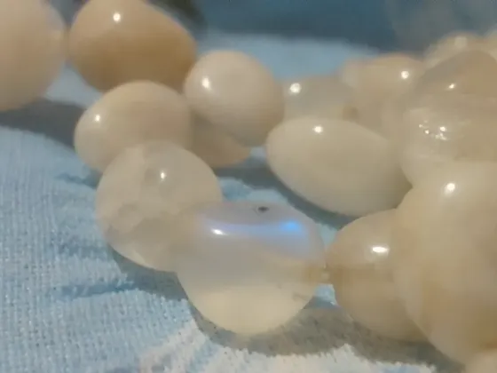 Бусины лунного камня адуляр Киев